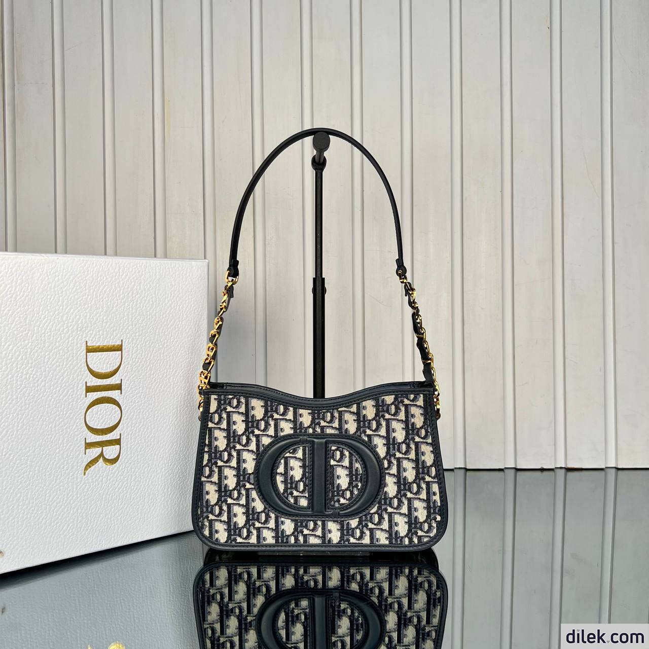 Dior CD Signature Bag