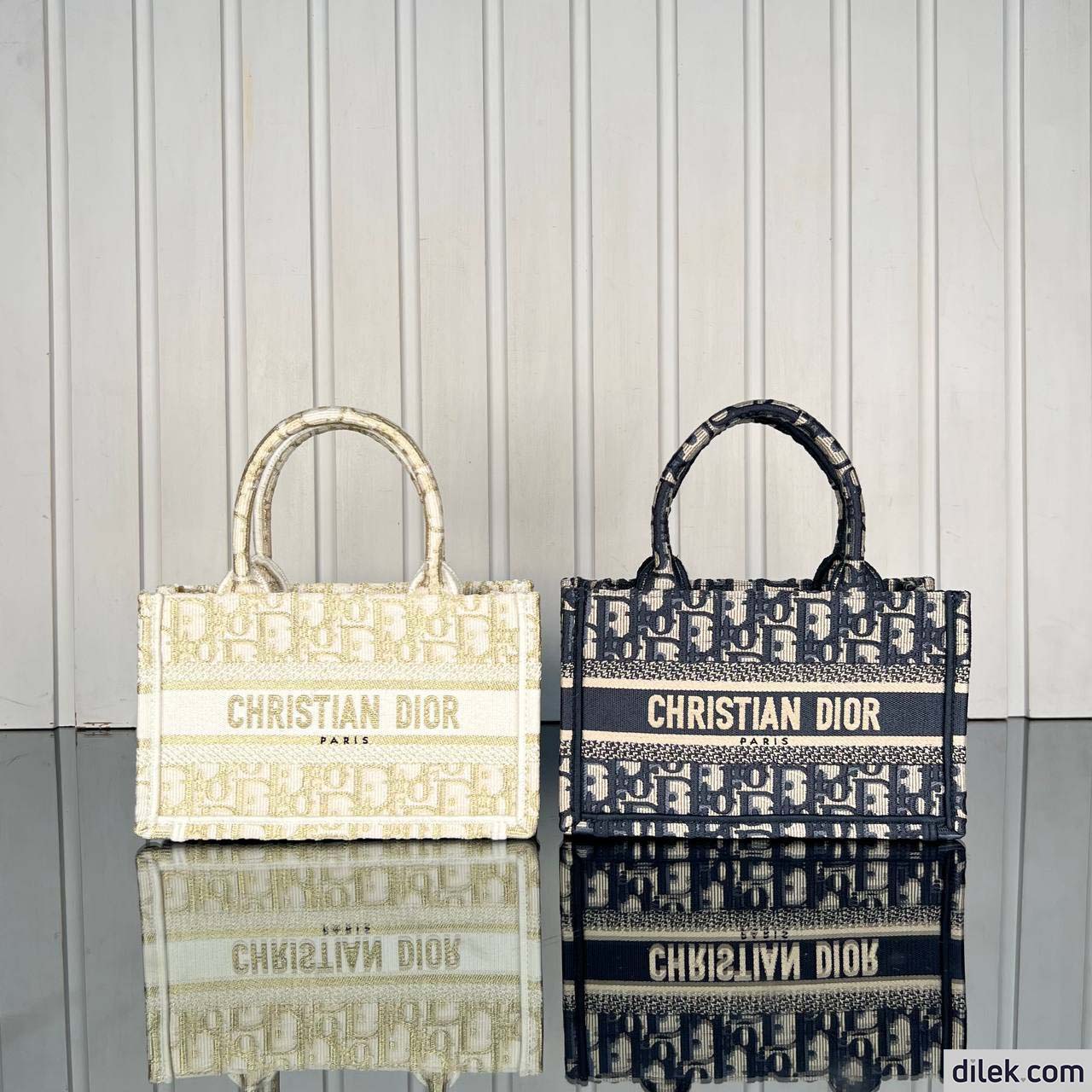 Dior Mini Book Tote