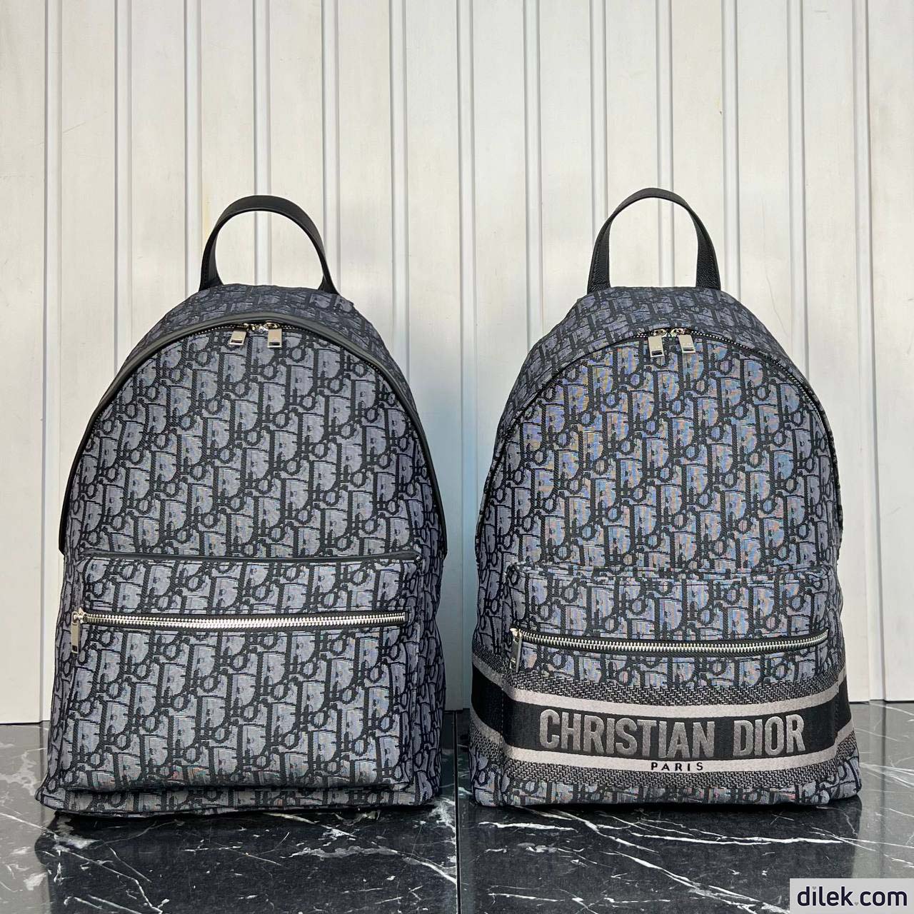 Christian Dior Rider Backpack