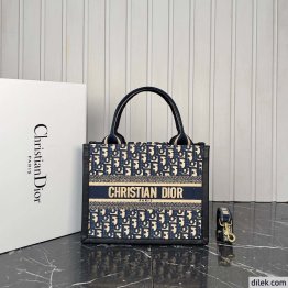 Dior Small Book Tote