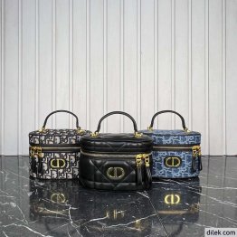Dior 30 Montaigne Mini Vanity Case
