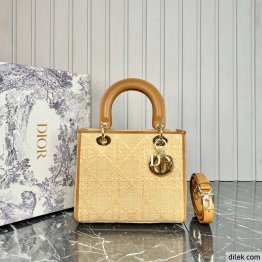 Medium Lady Dior Bag