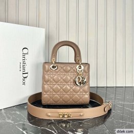 Dior Medium Lady Dior Bag