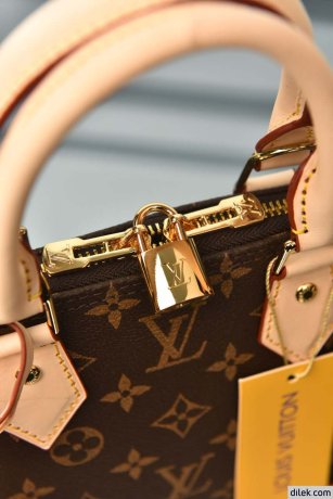 Louis Vuitton Alma BB