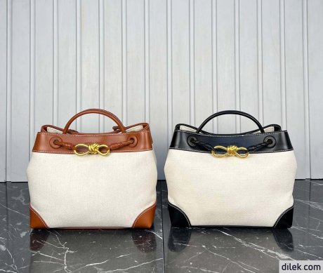 Bottega Veneta Small Andiamo