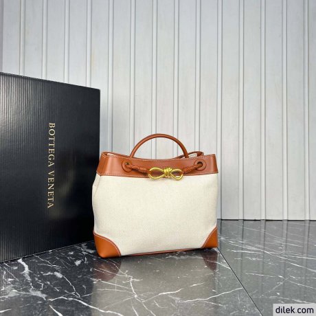 Bottega Veneta Small Andiamo