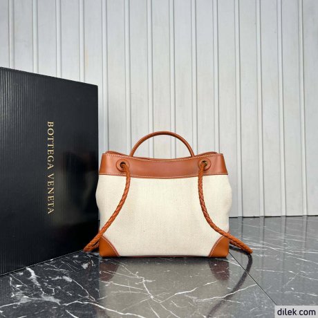 Bottega Veneta Small Andiamo