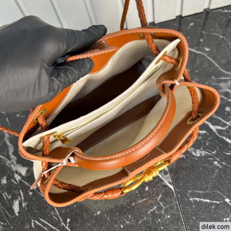 Bottega Veneta Small Andiamo