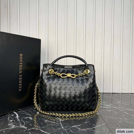 Bottega Veneta Small Andiamo