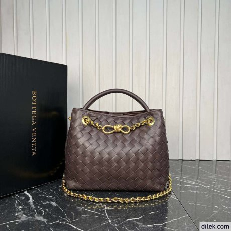 Bottega Veneta Small Andiamo