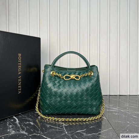 Bottega Veneta Small Andiamo