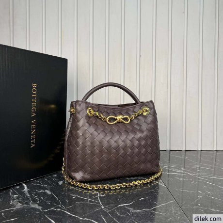 Bottega Veneta Small Andiamo