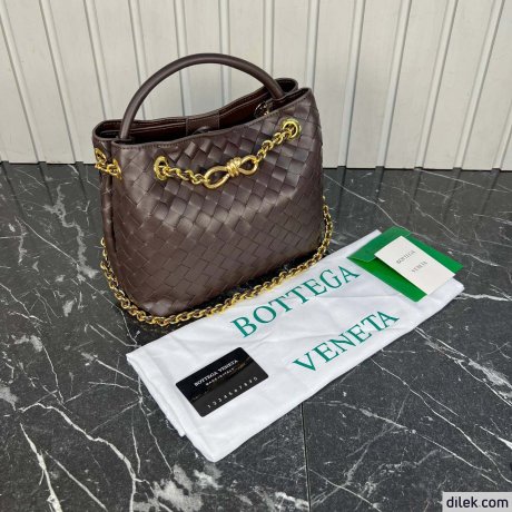 Bottega Veneta Small Andiamo
