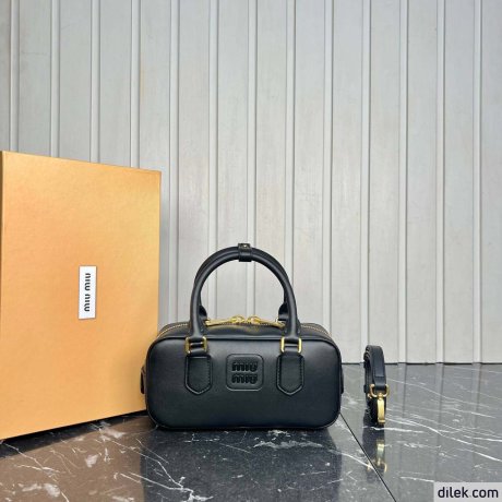 Miu Miu Arcadie Leather bag