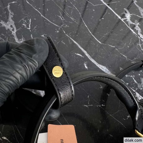 Miu Miu Arcadie Leather bag