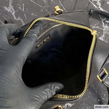 Miu Miu Arcadie Leather bag