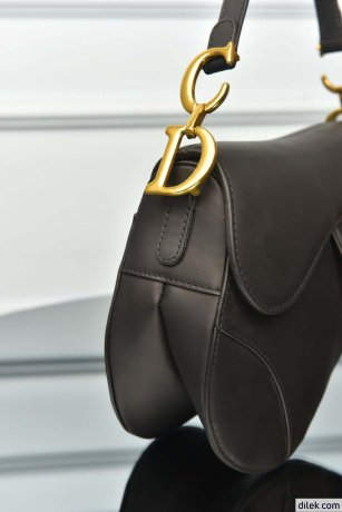 Dior Saddle Bag With Strap