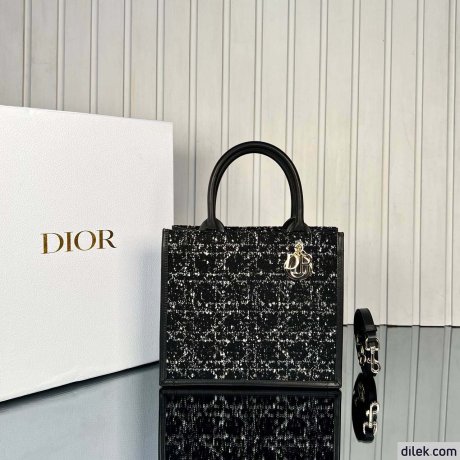 Dior Small Book Tote