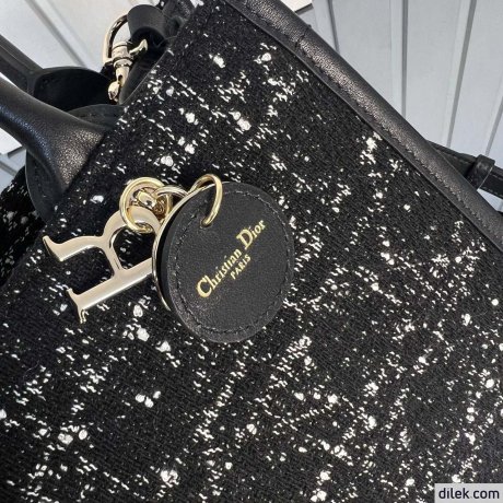 Dior Small Book Tote