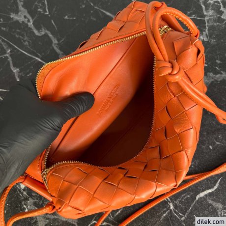 Bottega Veneta Loop Camera Bag