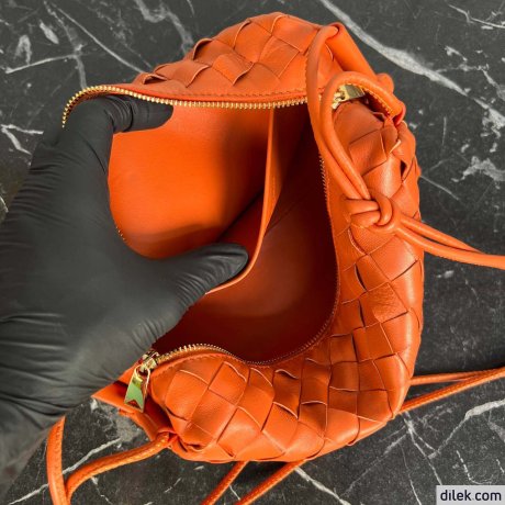Bottega Veneta Loop Camera Bag