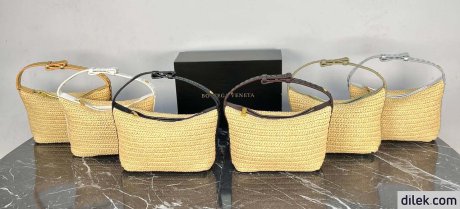 Bottega Veneta Mini Wallace