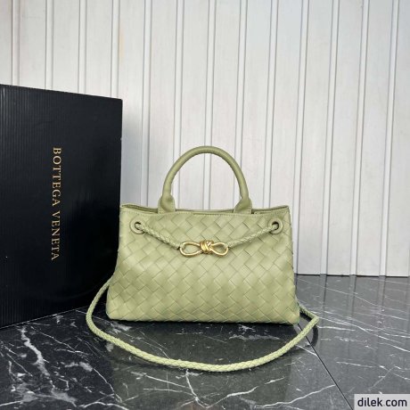 Bottega Veneta Small Andiamo