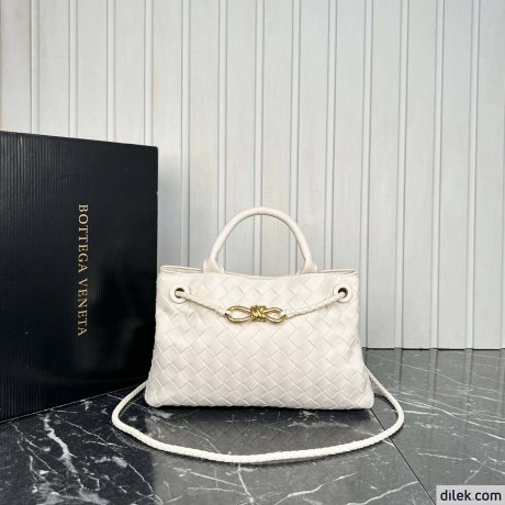 Bottega Veneta Small Andiamo