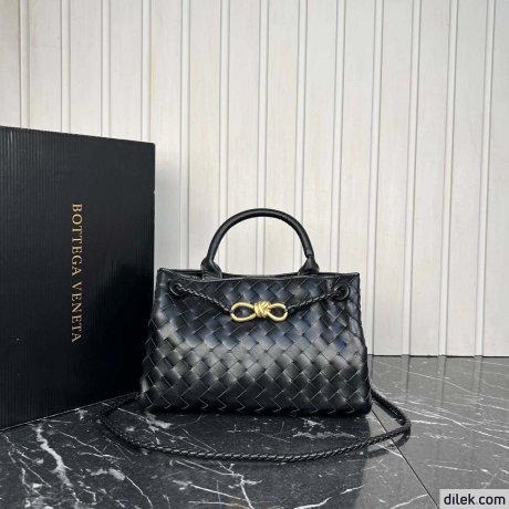Bottega Veneta Small Andiamo