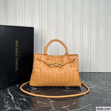 Bottega Veneta Small Andiamo