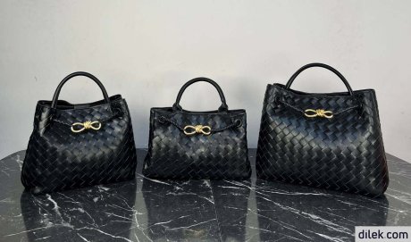Bottega Veneta Small Andiamo