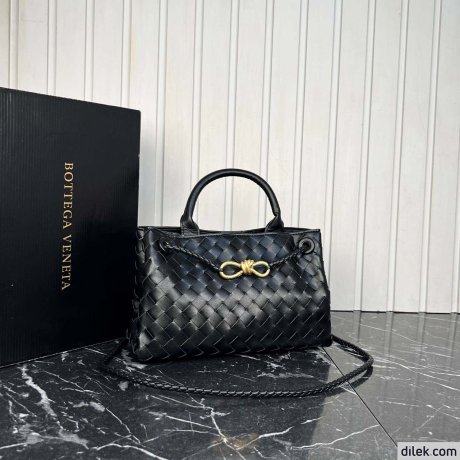 Bottega Veneta Small Andiamo