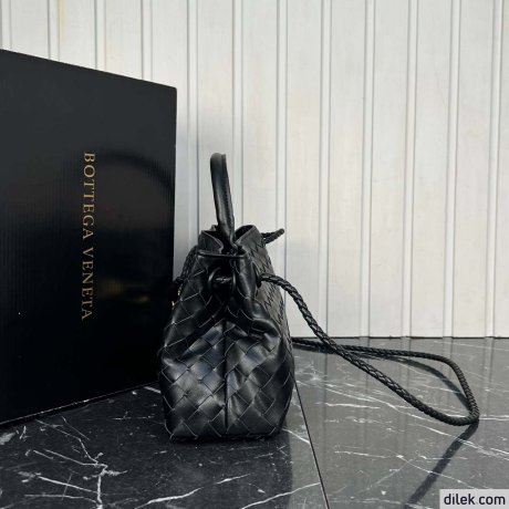 Bottega Veneta Small Andiamo
