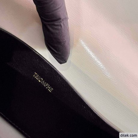 Celine Shoulder Bag Claude In Shiny Calfskin