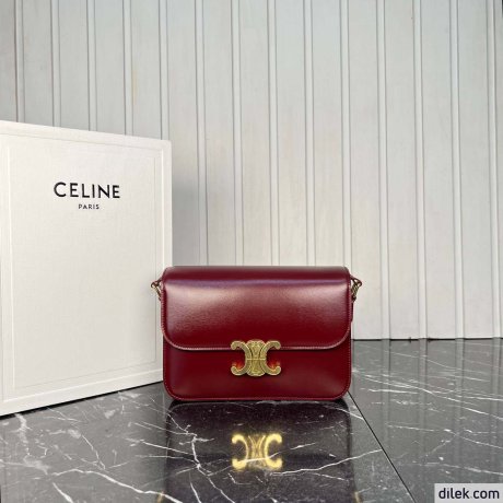 Celine Teen Triomphe Medium Bag