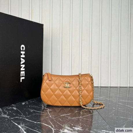 Chanel 19 Hobo Bag