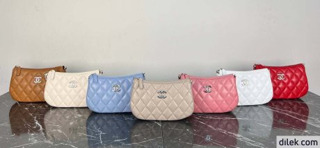 Chanel 19 Hobo Bag