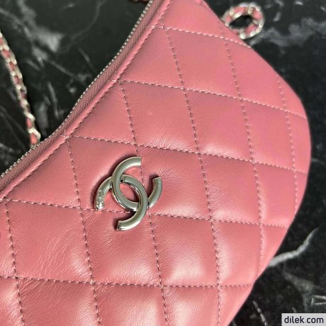Chanel 19 Hobo Bag