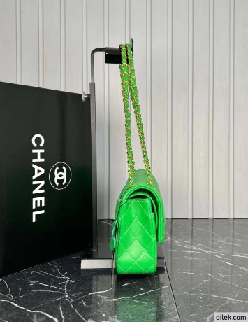 Chanel 2.55 Handbag