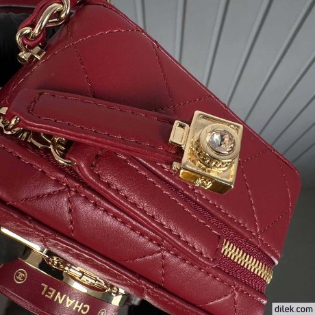Chanel Camera Bag