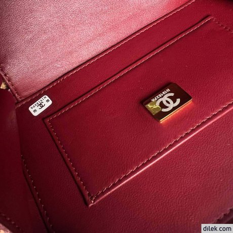 Chanel Camera Bag