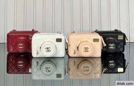 Chanel Camera Bag