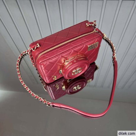 Chanel Camera Bag