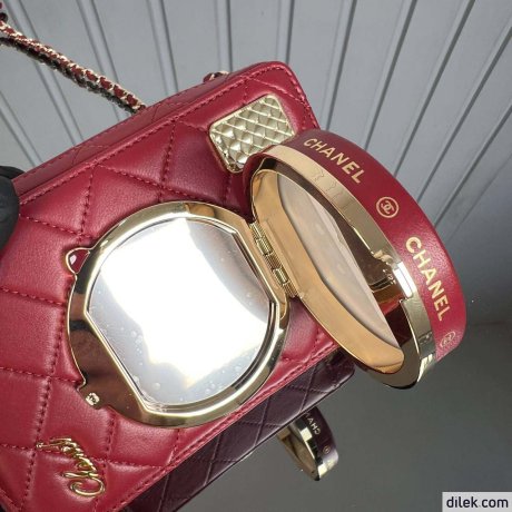 Chanel Camera Bag