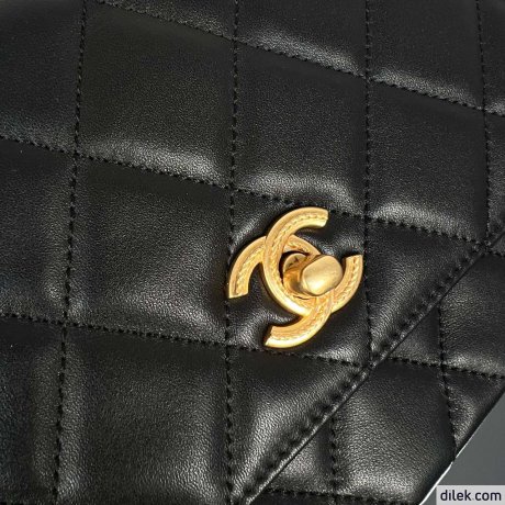 Chanel Medium Classic Handbag