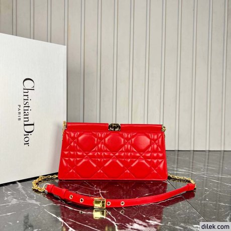 Christian Dior Chain bag