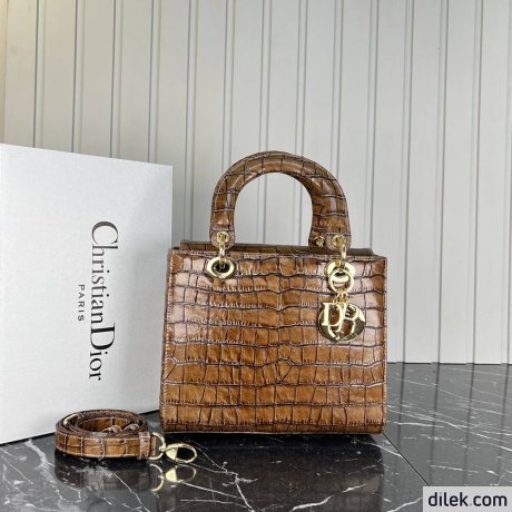 Dior Medium Lady Dior Bag