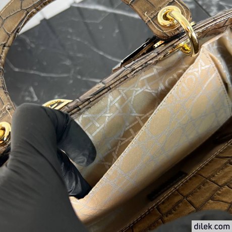 Dior Medium Lady Dior Bag