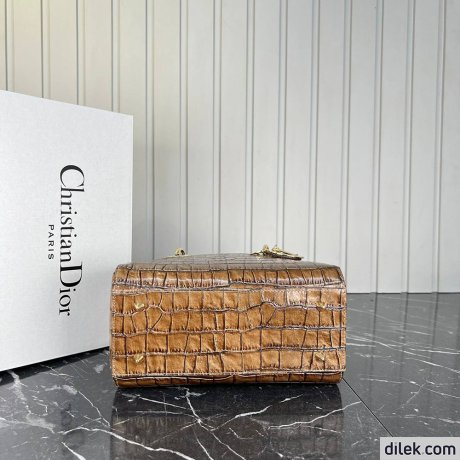 Dior Medium Lady Dior Bag