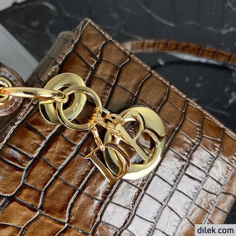 Dior Medium Lady Dior Bag